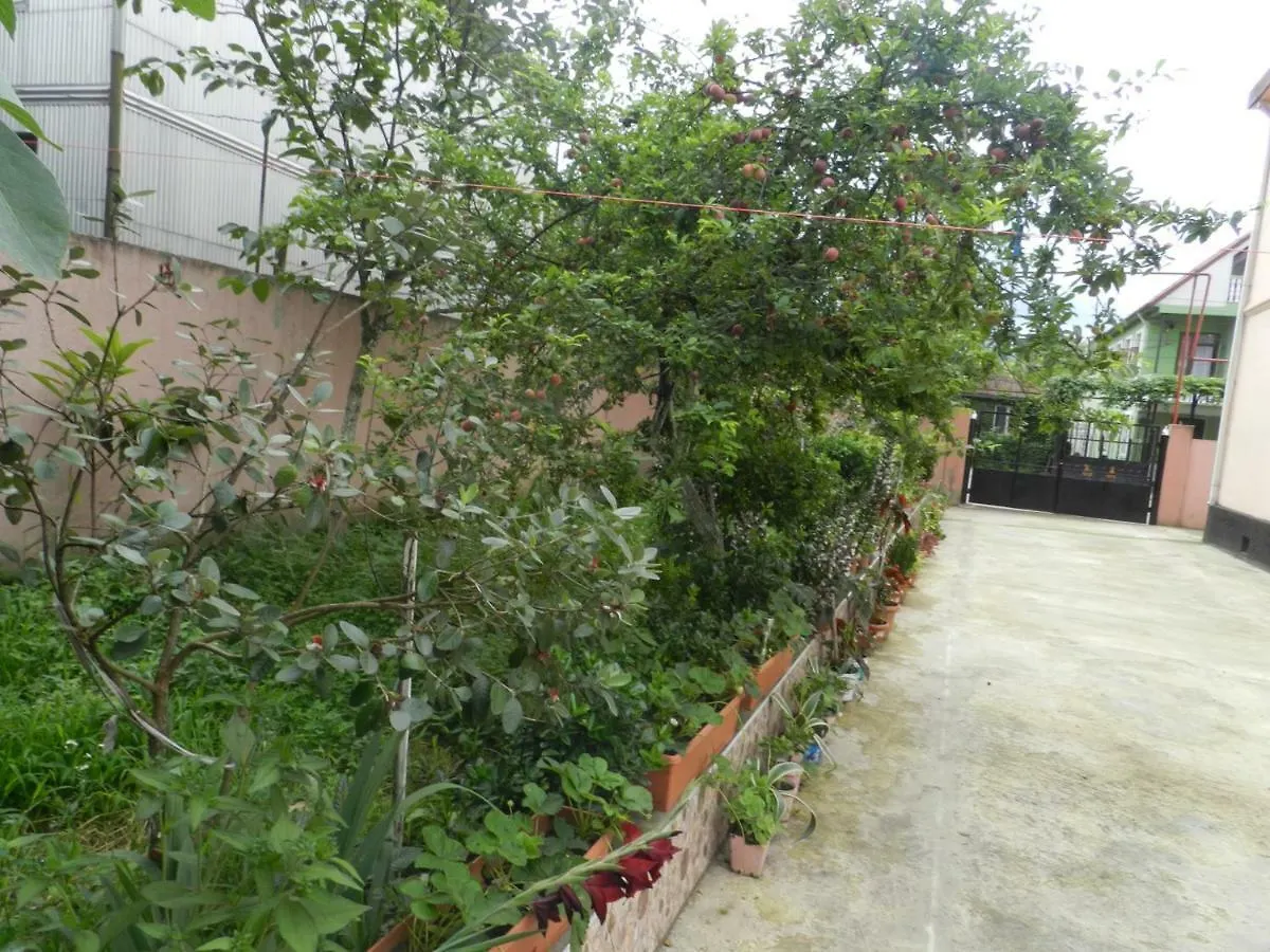 באטומי Nia Guest House